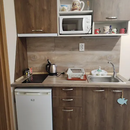 студио в центъра на стария アパート *