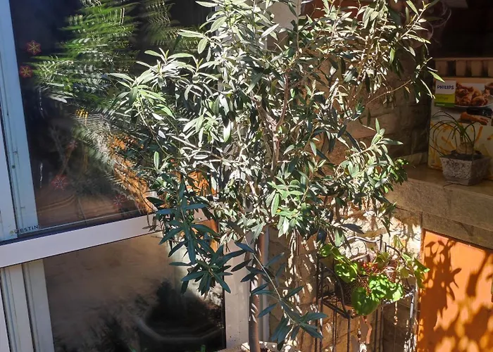 студио в центъра на стария Nessebar